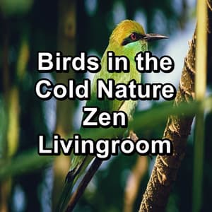 Birds in the Cold Nature Zen Livingroom - Yoga Master