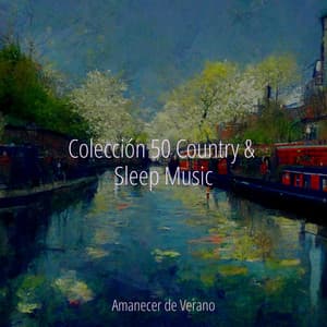 Colección 50 Country & Sleep Music - Meditation Spa