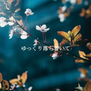 ゆっくり落ち着いて - Cafe Restaurant Music