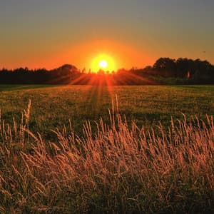 Baby Sleep Sound to Fall Asleep - Black Noise Sleep