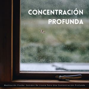 Meditación Fluída: Sonidos De Lluvia Para Una Concentración Profunda - Palacio de la lluvia