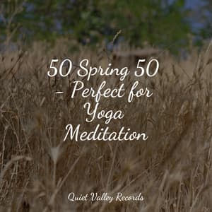 50 Spring 50 - Perfect for Yoga Meditation - Asian Zen Spa Music Meditation