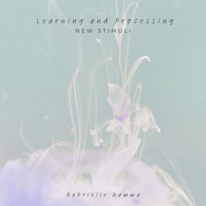 Learning and Processing New Stimuli - Gabrielle Gamma