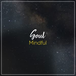 Mindful Soul - Richard Chance