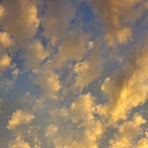 scraps and fundamentals - Byelti