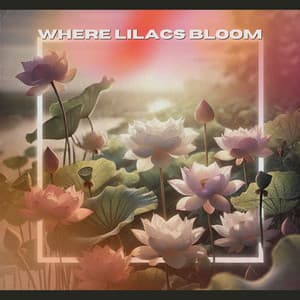 Where Lilacs Bloom - Love Music Zone