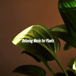 Relaxing Music for Plants - Soft Jazz Background Music