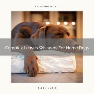 Complex Leaves Whispers For Home Dogs - Dog Total Relax