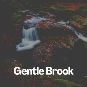 Gentle Brook - Epic Nature Sounds