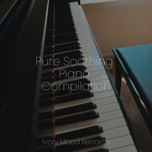 Pure Soothing Piano Compilation - Ivory Mood