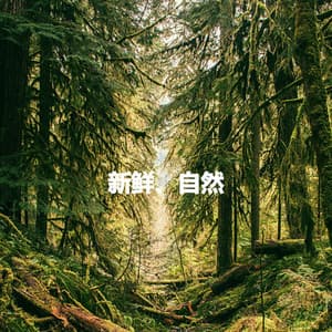 新鲜、自然 - Smooth Deluxe Dinner Jazz Group