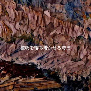 植物を落ち着かせる時だ - Musica Hoteles