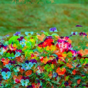 Pulsating Bgm for Focusing Tales - Música Chill para Cafés