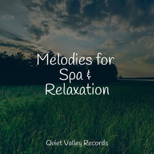 Melodies for Spa & Relaxation - Lullaby Rain