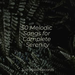 50 Melodic Songs for Complete Serenity - Exam Study Classical Music