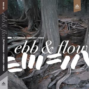 Ebb & Flow - Joel Futterman