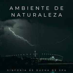 Ambiente De Naturaleza: Sinfonía De Ducha De Spa - La biblioteca de la lluvia