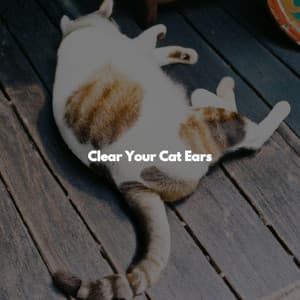 Clear Your Cat Ears - Trabajar desde Casa Background Musica