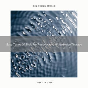 2021 New: Easy Tones Of Birds For Recover And White Noise Therapy - The White Noise Travelers
