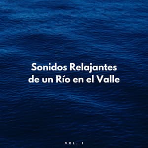 Sonidos Relajantes De Un Río En El Valle Vol. 1 - Canal Naturaleza sin parar