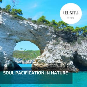 Soul Pacification in Nature - Nature Radiance