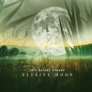 Elusive Moon - Epic Nature Sounds