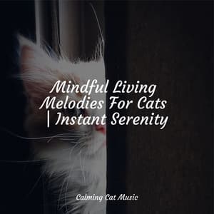 Mindful Living Melodies For Cats | Instant Serenity - Relaxmycat