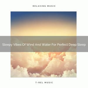 Sleepy Vibes Of Wind And Water For Perfect Deep Sleep - Sea Waves Sounds