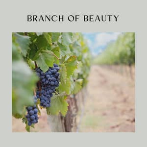 Branch of Beauty - Bird Sounds