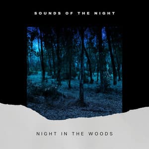 Night in the Woods - Sounds of the Night