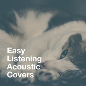 Easy Listening Acoustic Covers - It's A Cover Up
