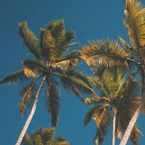 Chill Piano Covers: Summer Pop 2019 - Pierre Oslonn