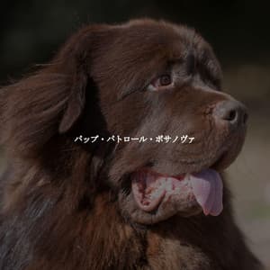 パップ・パトロール・ボサノヴァ - Jazz Vibe Chill Out