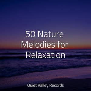 50 Nature Melodies for Relaxation - Study Concentration