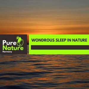 Wondrous Sleep in Nature - Nature Field Recordings
