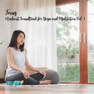 Focus: Ambient Soundtrack for Yoga and Meditation Vol. 1 - Meditation Playlist