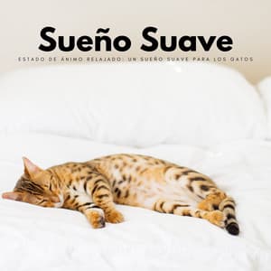 Estado De Ánimo Relajado: Un Sueño Suave Para Los Gatos - Flor de Loto
