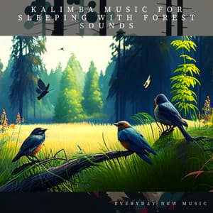 Kalimba Music for Sleeping with Forest Sounds - Everyday New Music