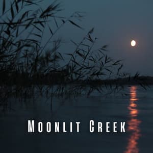 Moonlit Creek: Sleep Serenades by the Waterside - The Water Sleepers