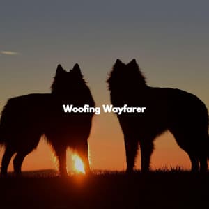 Woofing Wayfarer - Cleaning Music