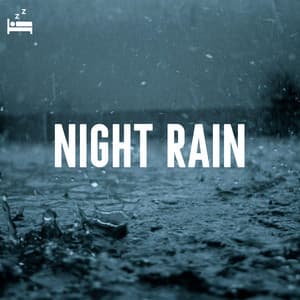 Night Rain - Rain Sounds Lab