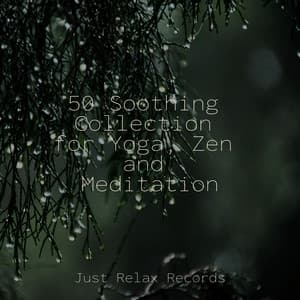 50 Soothing Collection for Yoga, Zen and Meditation - Natural Sounds