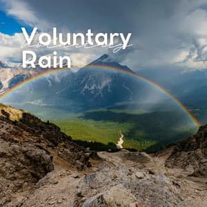 Voluntary Rain - Rain Sounds Nature Collection