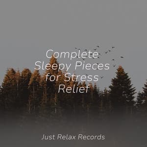 Complete Sleepy Pieces for Stress Relief - Musica para Dormir Dream House