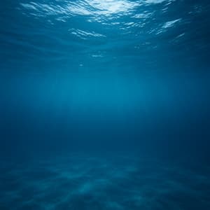 50 Oceanic Melodies: Soundtrack in Blue - Seascapers