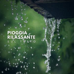 Pioggia Rilassante sul Tetto - Pioggia rilassante