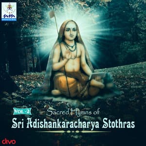 Sri Adishankaracharya Stothras Vol 2 - Anjana Sowmya
