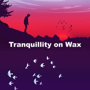 Tranquillity on Wax - Study Music Library