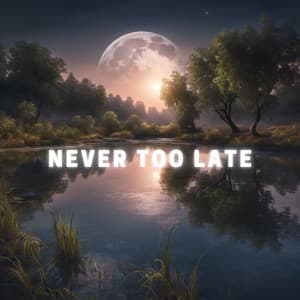 Never Too Late - Alpha Vectoriam