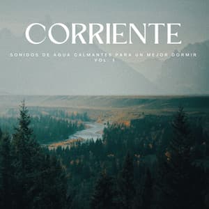 Corriente: Sonidos De Agua Calmantes Para Un Mejor Dormir Vol. 1 - Corrientes de sueños